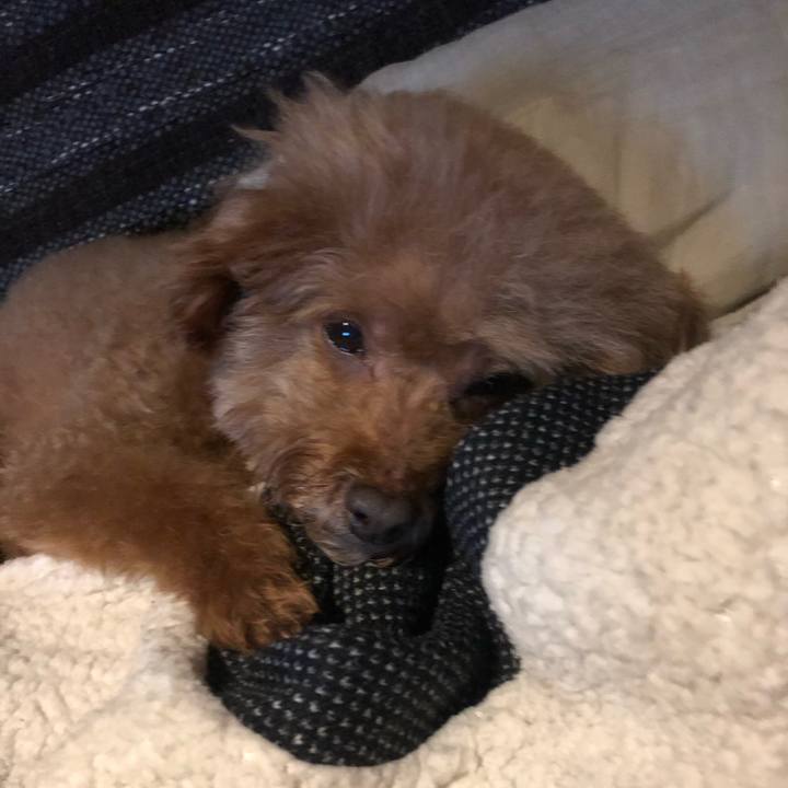 Ef7f9c7d 90d1 4206 99ae 06d8323f71c4 1581165230208