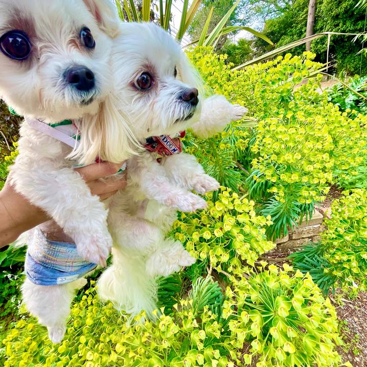 Ef7ff299 b314 4482 b43e 489ee7b57e7a 1619351747780