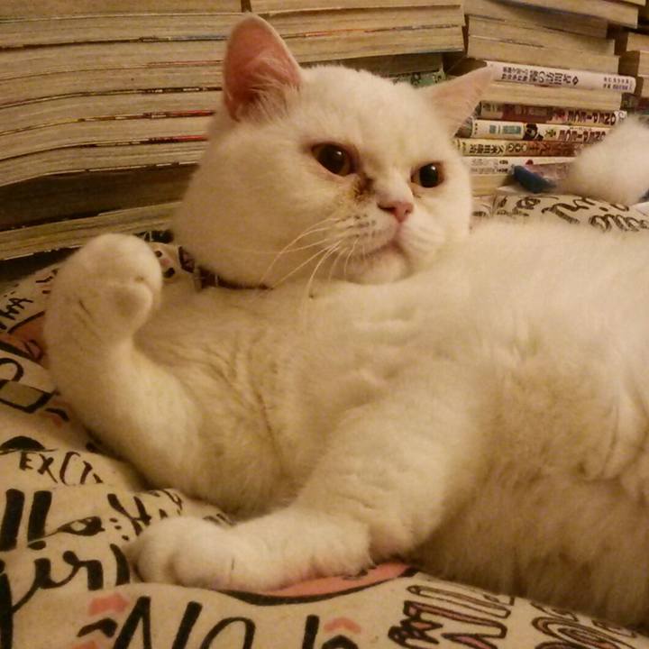 Ef803477 e201 41be 9f30 9e005d08e033 1509277818989