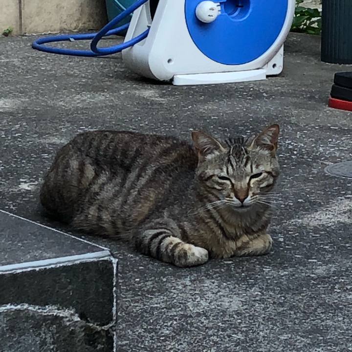 Ef8038d6 a2f2 41b1 b25a a297869c2afe 1527171779528