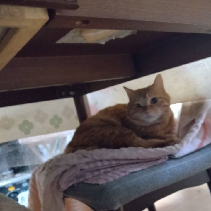 Ef805759 2348 43da a56c 1875a1805681 1676415341789