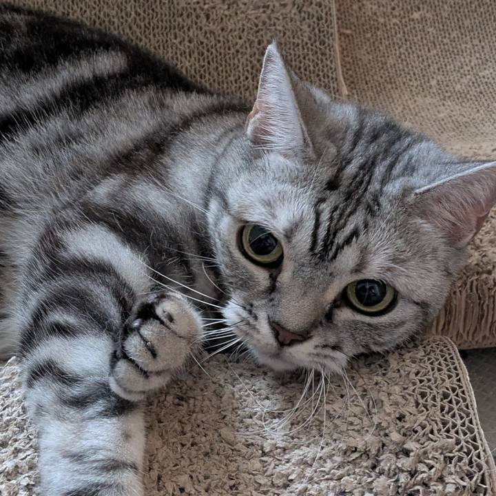 Ef808227 9dea 4d6c 8339 48eda61034bb 1752374768947