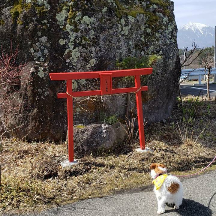 Ef808a53 2776 4a94 b045 8924e274d84d 1584753041436