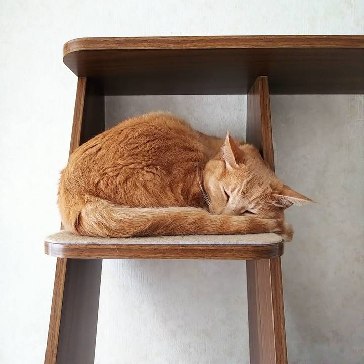 Ef80b2d0 b78d 49a0 aea9 50800289e9fc 1629153119165