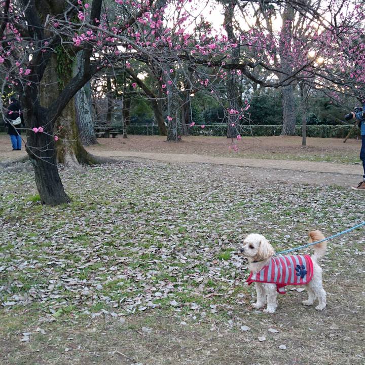 Ef8108a7 05c2 41c3 ba02 0c7047a117b3 1549112221797