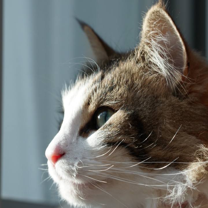 Ef816fbe 1f30 4a6f 9bf9 85fed6300aff 1558430606393