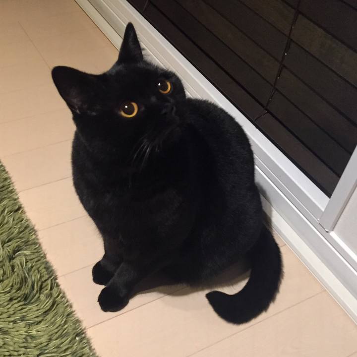 Ef819aff 130a 4d60 bc47 2d2438e455bd 1546691512928