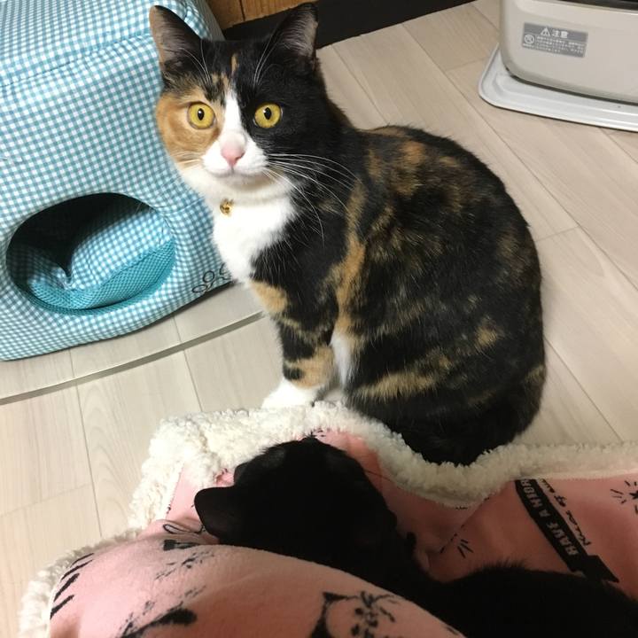 Ef81bc79 9f08 40f2 89dd 9dfdab182162 1520767022476