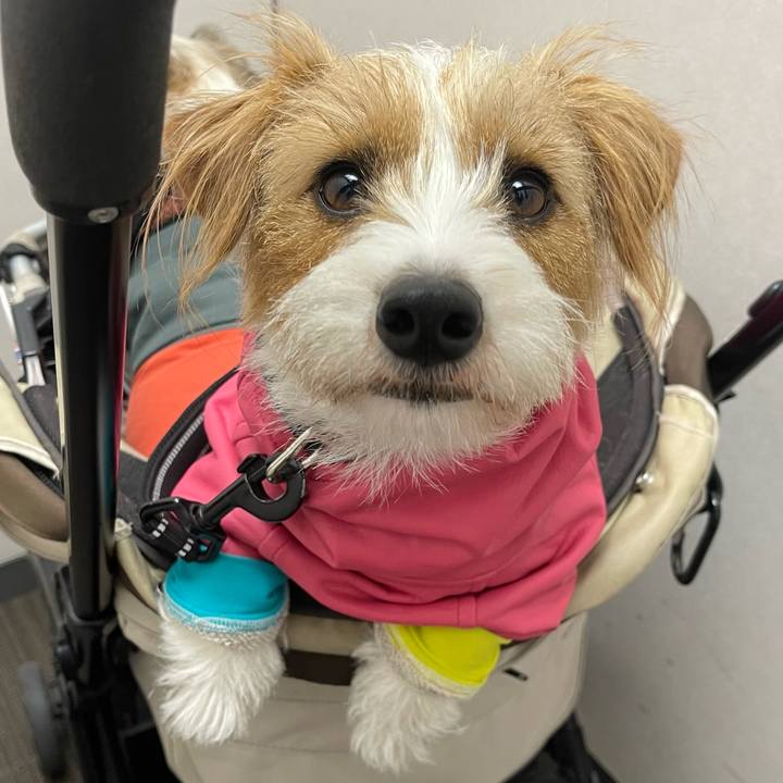 Ef81bd89 4886 47b1 9802 0773dc0da50a 1769766858610