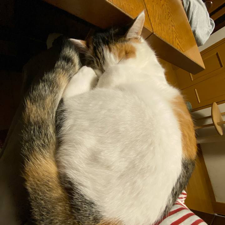 Ef81c372 b4fe 4356 9b4c 3e16f3482bbb 1762089693566