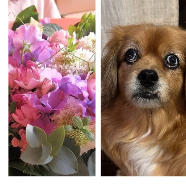 Ef81dd63 ad1b 498e 9580 a25c3f901b28 1772145133427