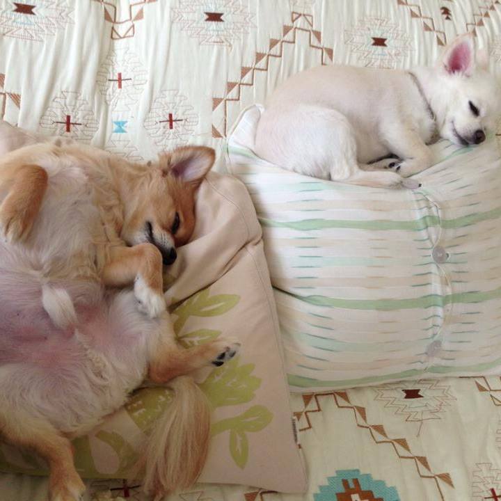 Ef81f4b1 3e96 4825 ba28 5405635b3e42 1525874007915