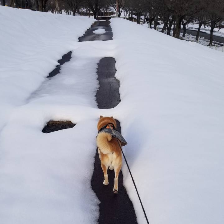 Ef81fa17 4ccf 4f9e 8e59 3aaa7fa13ae6 1734415064035