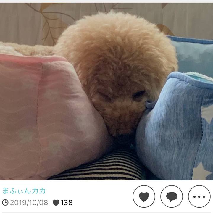 Ef8224dc 48d5 47a5 9801 19ad714d4002 1728464109133