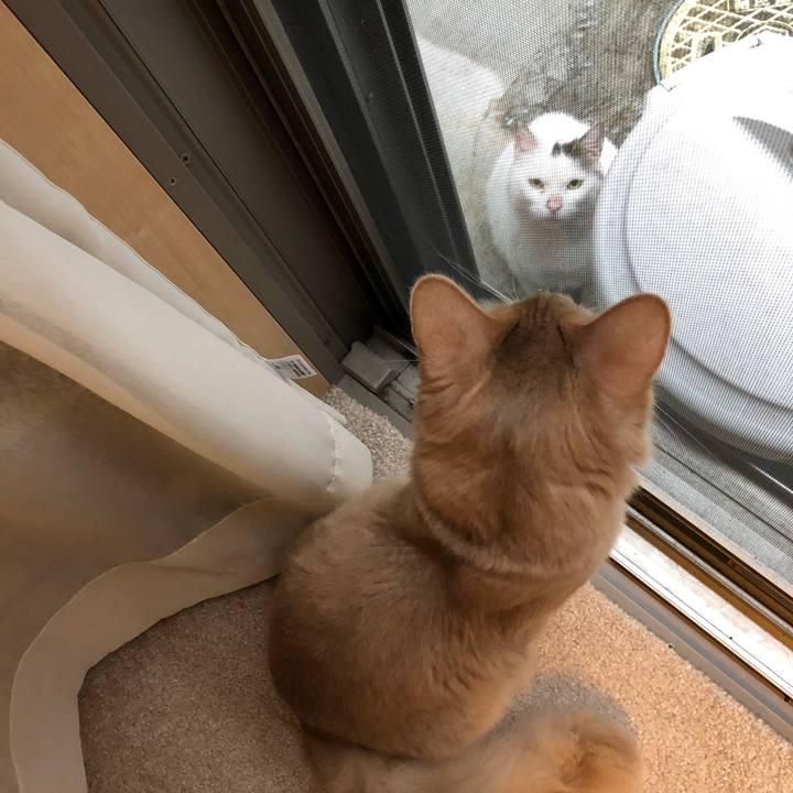 Ef826ec1 4f72 4734 b30a 73a995427b5b 1556240504655