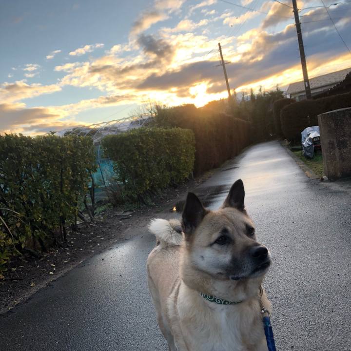 Ef8289a4 f1b7 4102 9cd9 09dadcdd5fe3 1613393104370