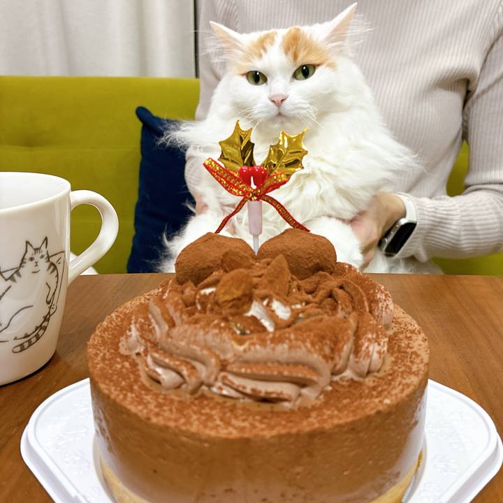 Ef828add bbfc 41a4 becc 36c8e9fde844 1766663041214