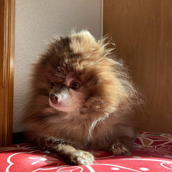 Ef82bf19 daa5 4379 9118 ed26f79a961d 1735595123790