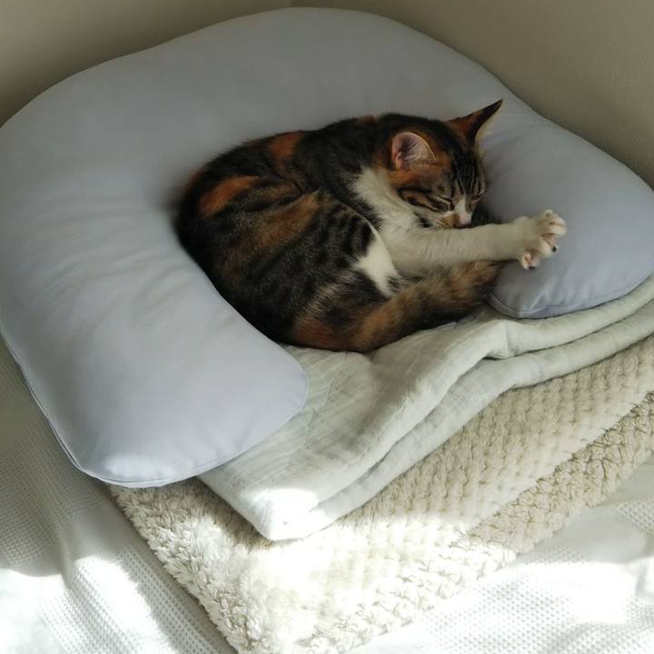 Ef82e0c1 fde3 4e6d b894 df3733ad7100 1633232709957