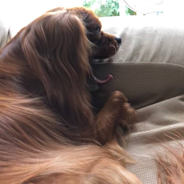 Ef82ebf8 4186 48a5 8395 3d4154277e30 1563093203438