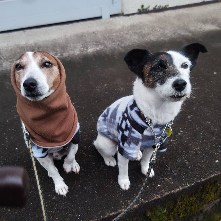 Ef82f367 d01b 4f8e 9269 f92349d99b30 1772057894352