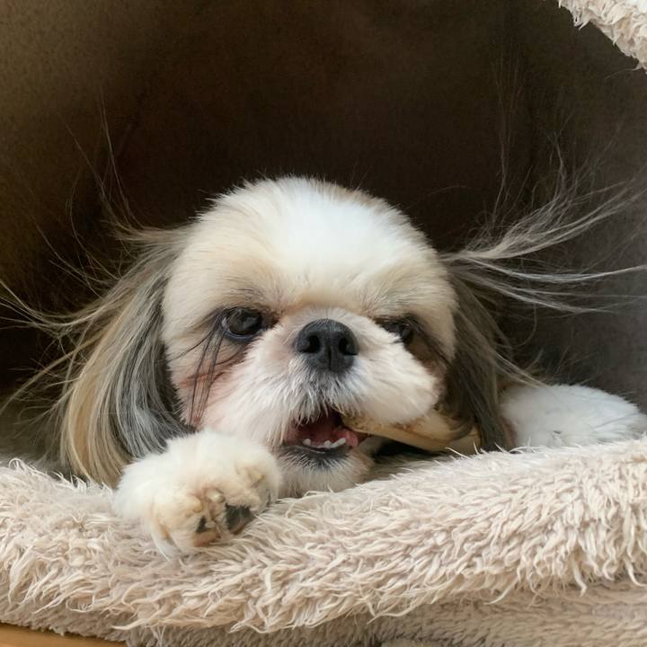 Ef830679 a231 4c31 87f2 92c316a2e767 1632035658128