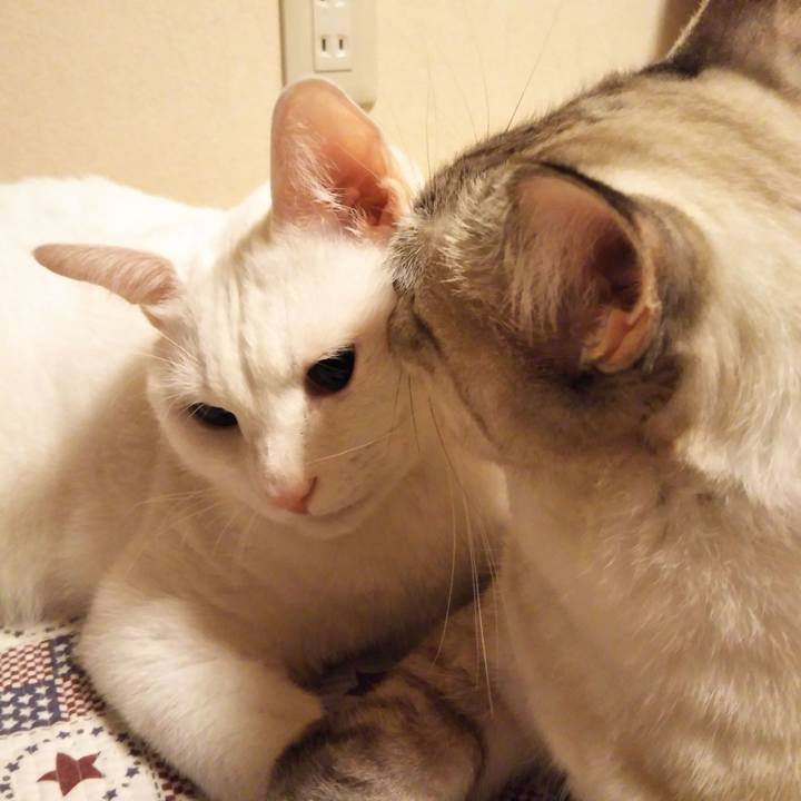 Ef8320c9 f767 4e00 a78f 244d923d6b24 1539526089468