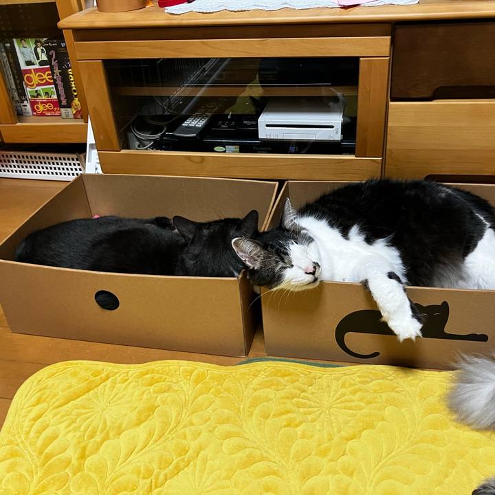 Ef832708 f032 48f9 ab2c 8be1f33ecc50 1735344716657