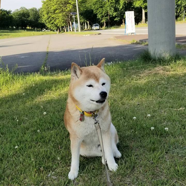 Ef835c72 e8c5 4229 b1d7 d752bb5d1df4 1685433008266