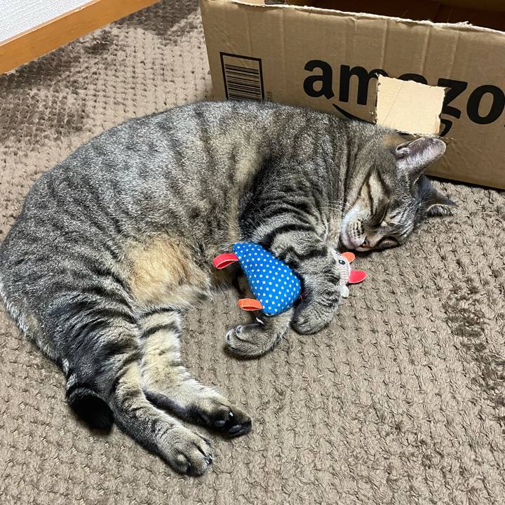 Ef835d4f b289 4310 9a3c 16e1fa9cddfd 1633520236548