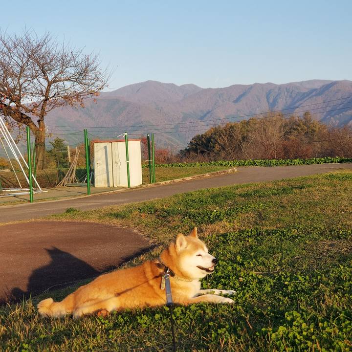 Ef8364e9 31c8 479b 81bb 545b3165c5e4 1699513236799