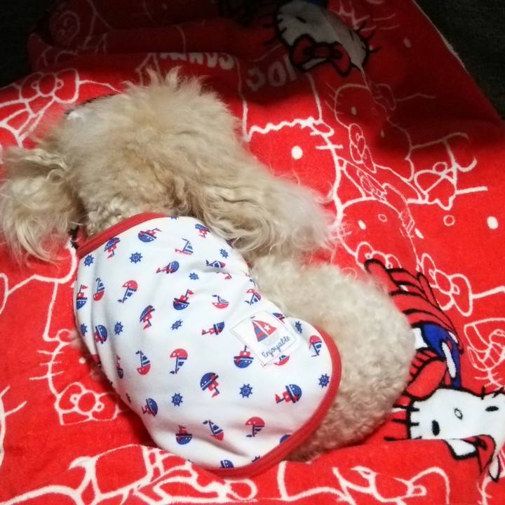 Ef837e43 b658 4fd7 980a b88e4a873bba 1535113236450