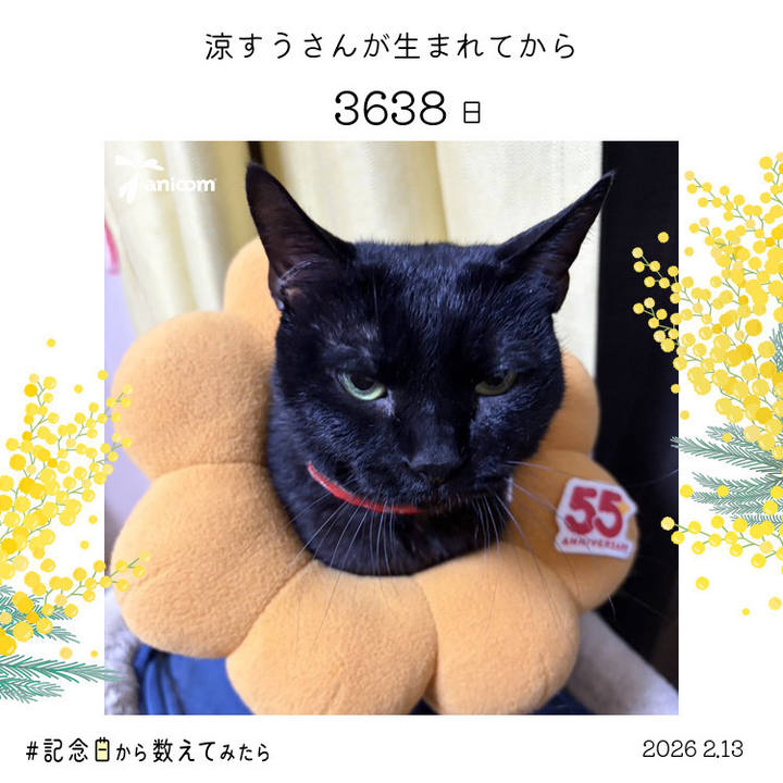 Ef83a252 094a 4f52 a56d aea118d2d336 1770984749237