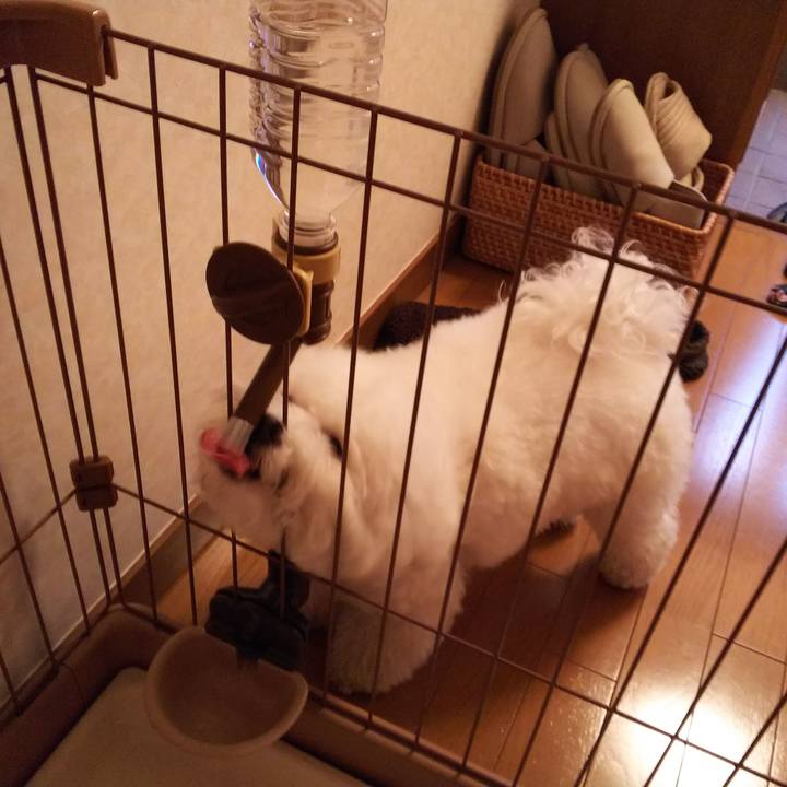 Ef83a620 7e19 499c a1ec af026af9aaaa 1526375993573