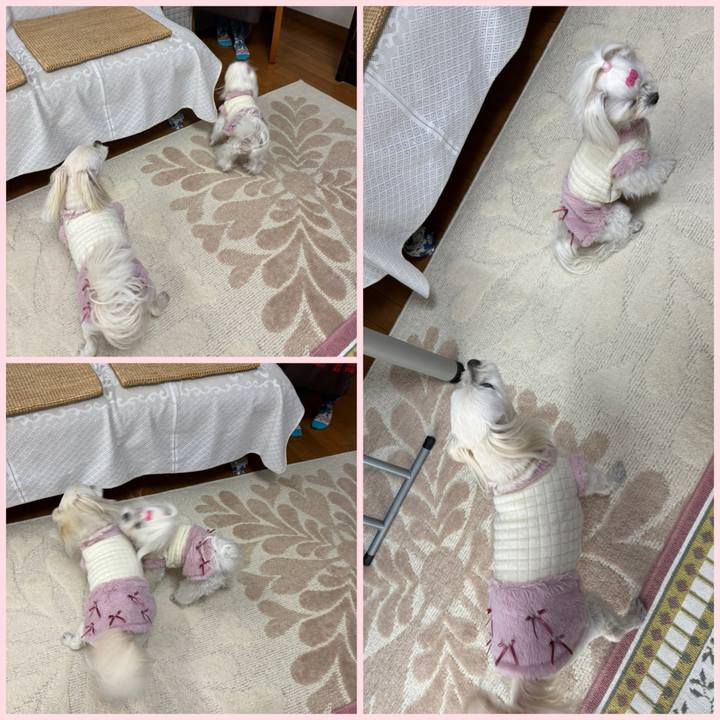 Ef83b8c0 57c0 4c22 93a4 c2398170ef3f 1771502654367