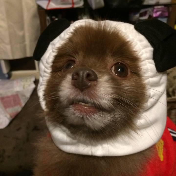 Ef83c67b 7ca0 49ce a189 557b33670dec 1514772402068