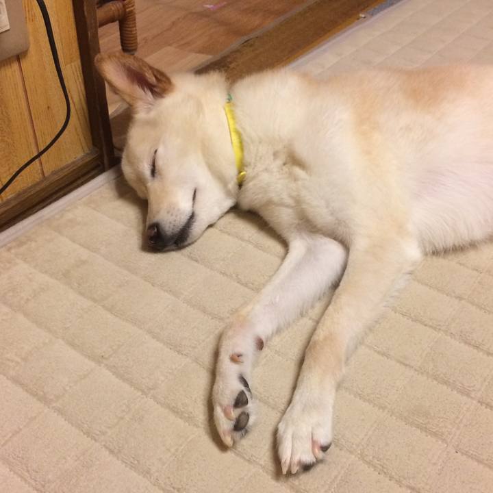 Ef83e1e9 b506 49f1 bd0c 55b3f3e3a4a4 1534861786018