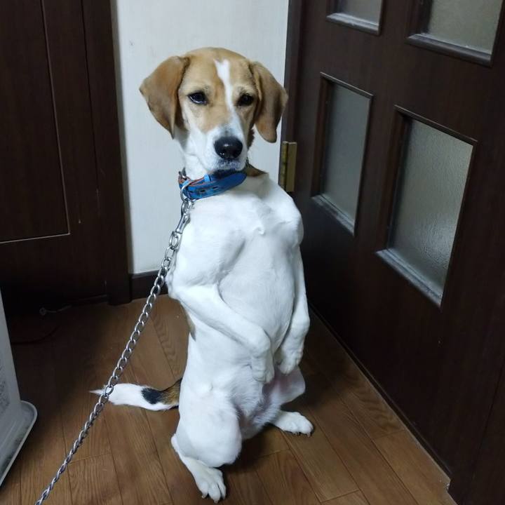 Ef8407a2 d20e 4ea6 9c55 954539deadcc 1611237341904