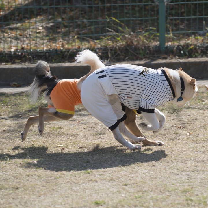 Ef841008 b071 433f 8b8c fc6dfdf3d4fe 1542557820752