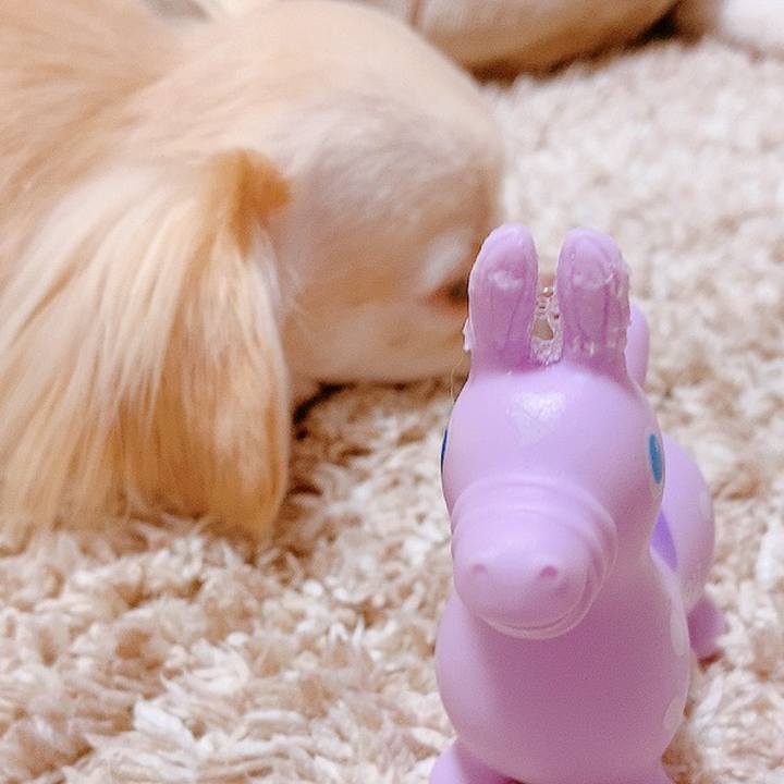 Ef842a3f 8cb5 4d2e 8508 4494f9d63f8b 1625223825251