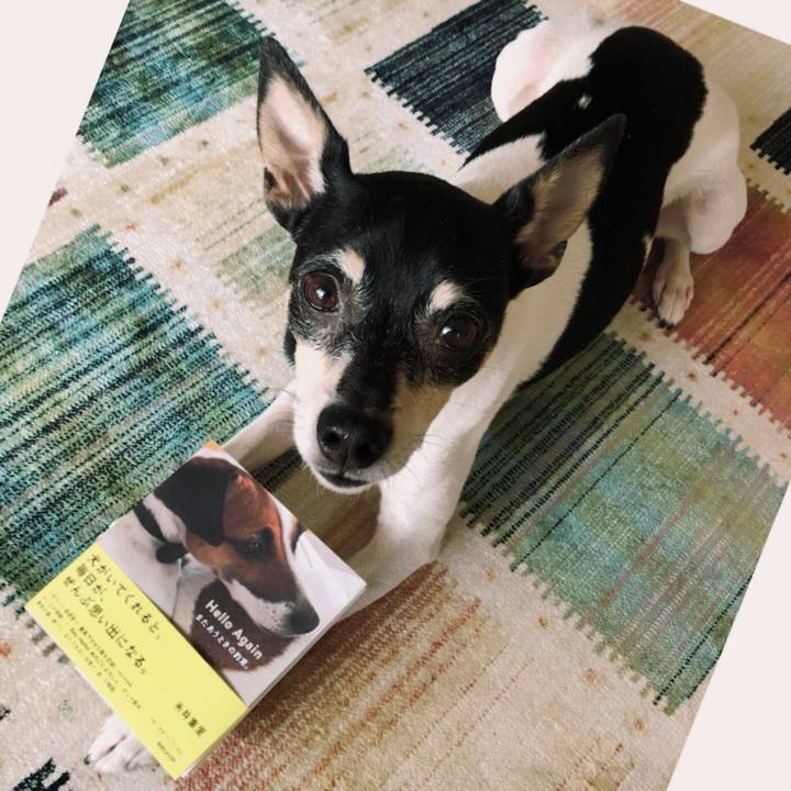 Ef844490 f0ea 43d5 9dad c4c26234386b 1523152042743