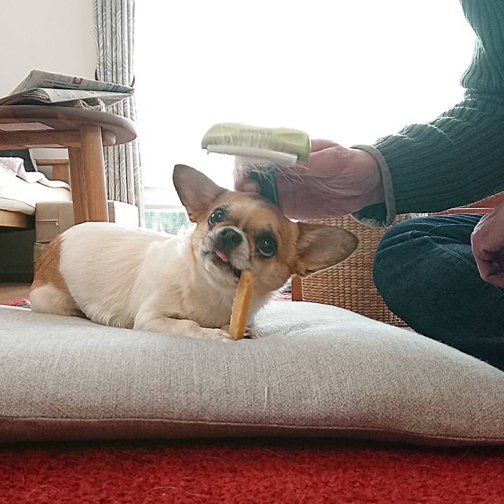 Ef849347 ab51 44b9 9ddc 5ceb5d204b88 1610755846515