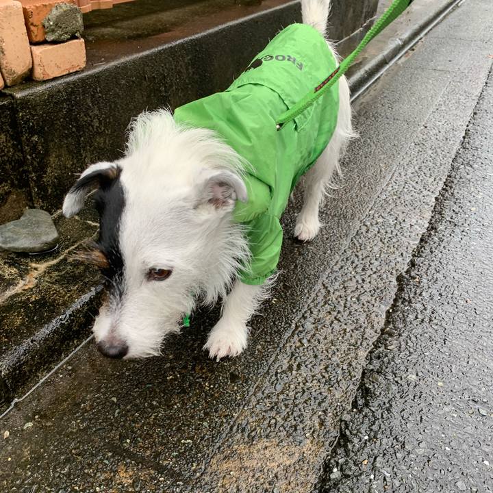 Ef84aa7a 6974 4c5d 8e44 da39e9623f69 1631921525495