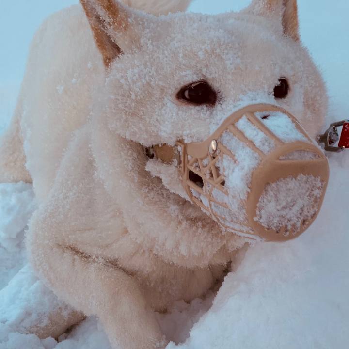 Ef84adb3 743e 4aea 87b2 c915e8f62073 1580159287713