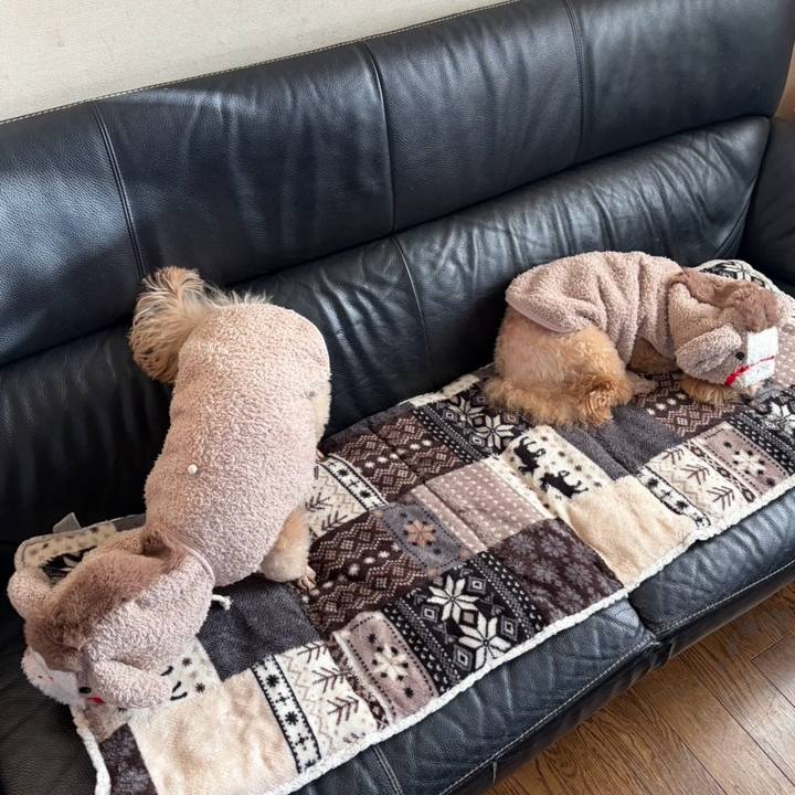 Ef84fb73 59db 46e7 820d 418eb32ffc15 1764471393357