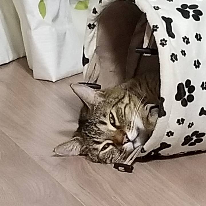 Ef85010f ca4c 493e 81ee 787918cdef53 1555646035954