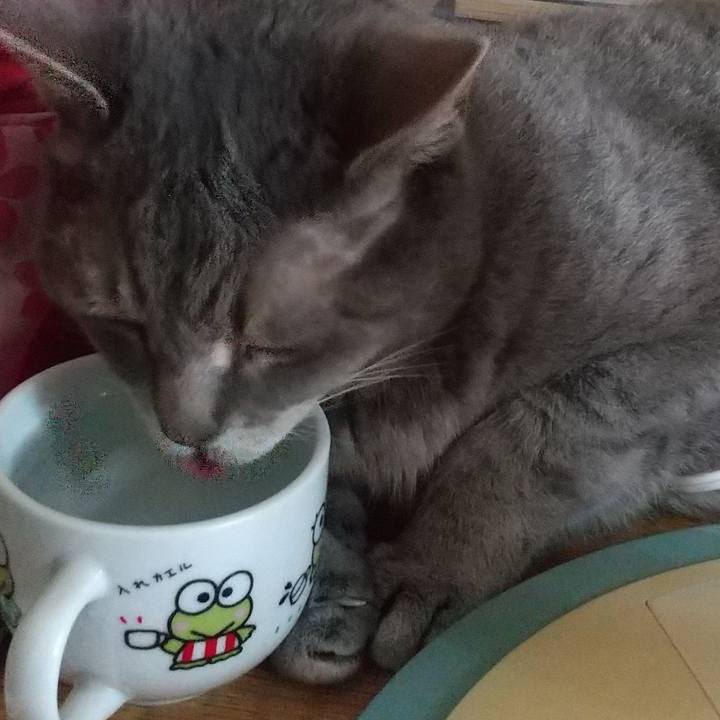 Ef850cdc 8207 4dfd 861a 0db71b1e18d0 1657426396571