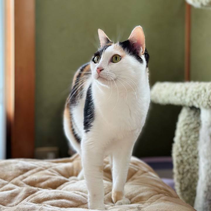 Ef8527d7 068c 410d 83ea 71376f9d9d8d 1667529480456