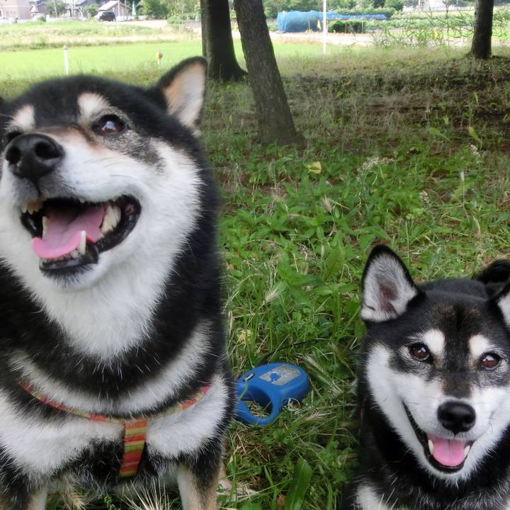 Ef853de0 fd8f 4db4 b0c1 e94a65be4bce 1531527178967