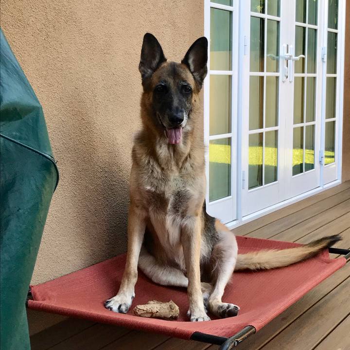 Ef85b8d9 68b9 49c1 a0e3 fb68c2ce203a 1511636807246